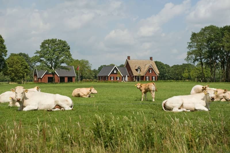 Landhuis met koetshuis in Enter